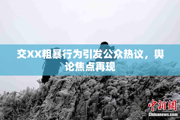 交XX粗暴行为引发公众热议，舆论焦点再现