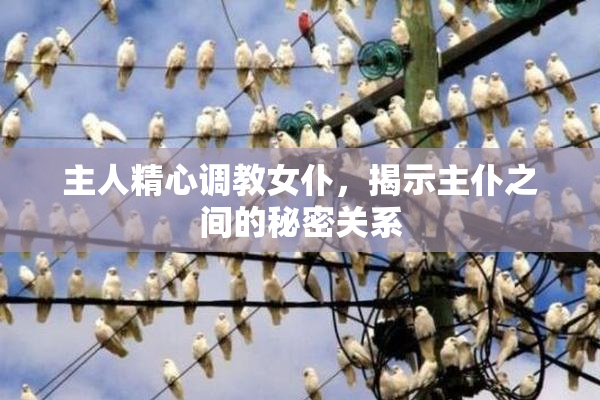 主人精心调教女仆，揭示主仆之间的秘密关系