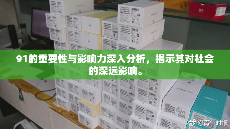 91的重要性与影响力深入分析，揭示其对社会的深远影响。