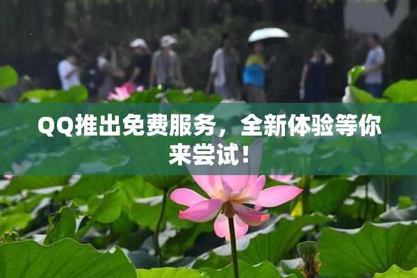 QQ推出免费服务，全新体验等你来尝试！