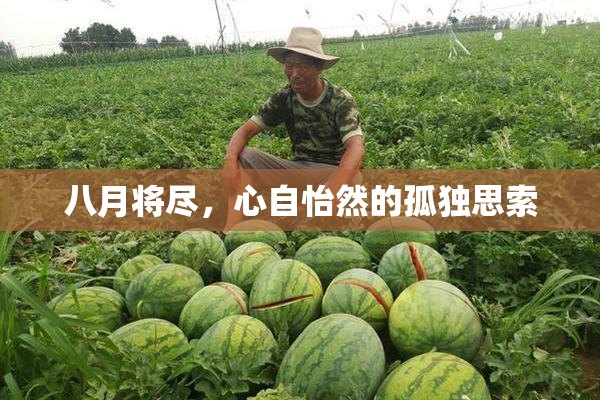八月将尽，心自怡然的孤独思索