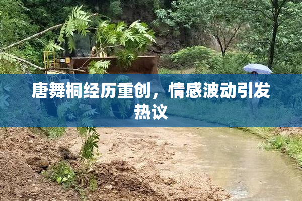 唐舞桐经历重创，情感波动引发热议