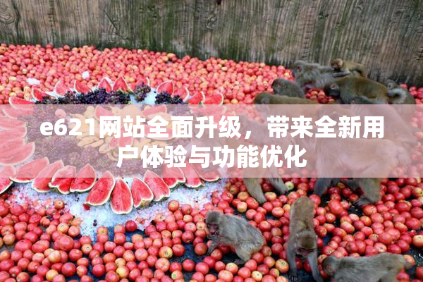 e621网站全面升级，带来全新用户体验与功能优化
