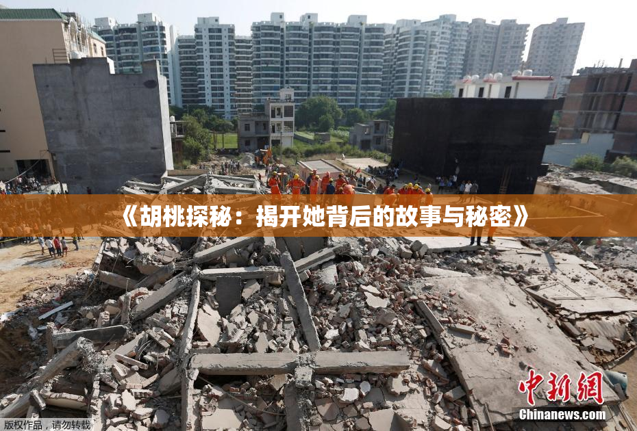 《胡桃探秘：揭开她背后的故事与秘密》
