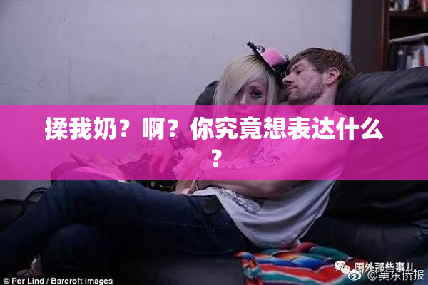 揉我奶？啊？你究竟想表达什么？