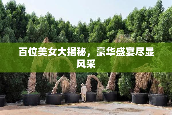 百位美女大揭秘，豪华盛宴尽显风采