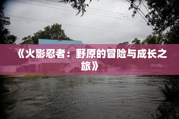 《火影忍者：野原的冒险与成长之旅》