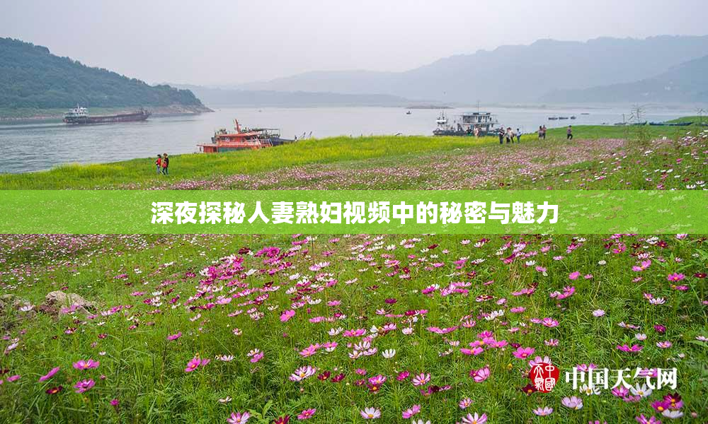 深夜探秘人妻熟妇视频中的秘密与魅力