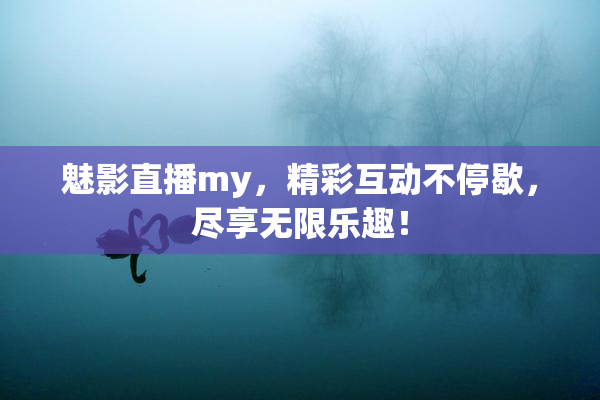魅影直播my，精彩互动不停歇，尽享无限乐趣！
