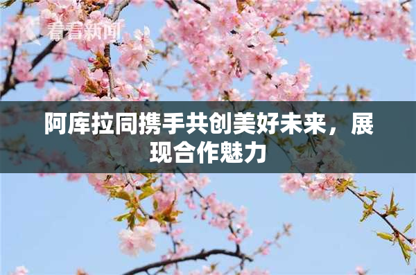 阿库拉同携手共创美好未来，展现合作魅力