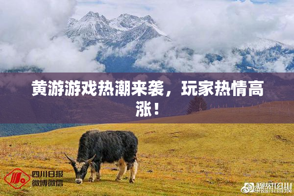 黄游游戏热潮来袭，玩家热情高涨！
