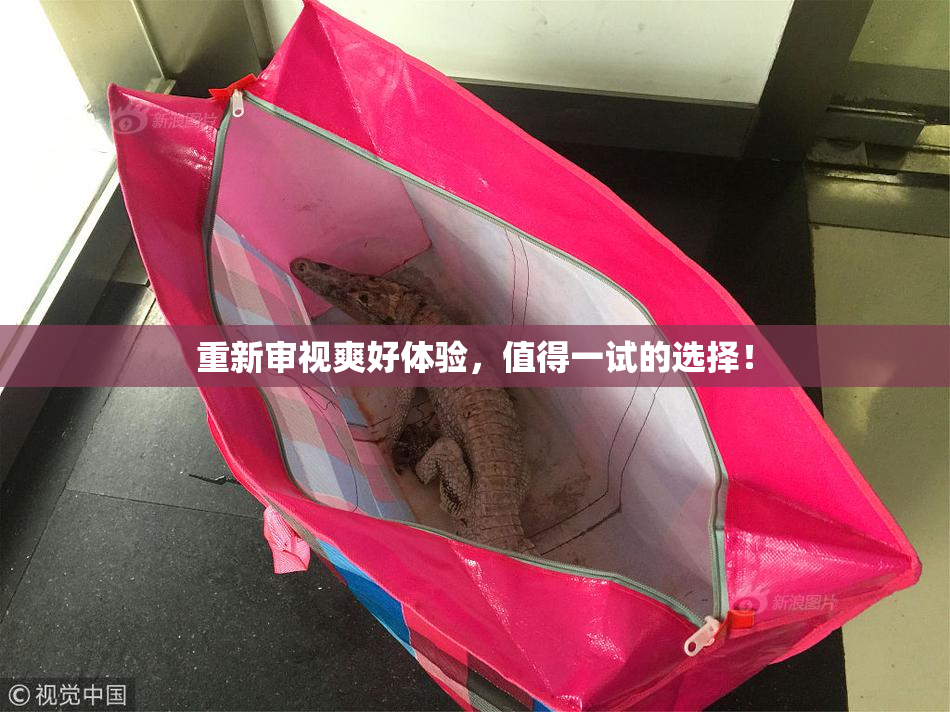 重新审视爽好体验，值得一试的选择！