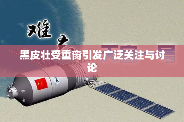 黑皮壮受重脔引发广泛关注与讨论