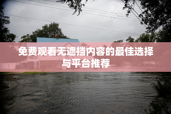免费观看无遮挡内容的最佳选择与平台推荐