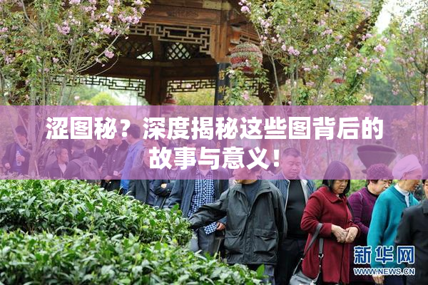 涩图秘？深度揭秘这些图背后的故事与意义！