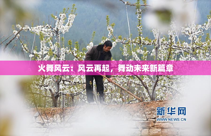 火舞风云：风云再起，舞动未来新篇章