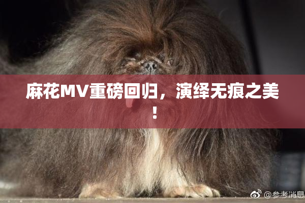 麻花MV重磅回归，演绎无痕之美！