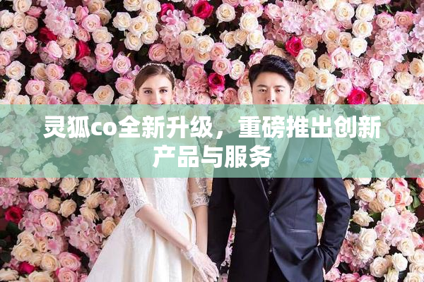 灵狐co全新升级，重磅推出创新产品与服务