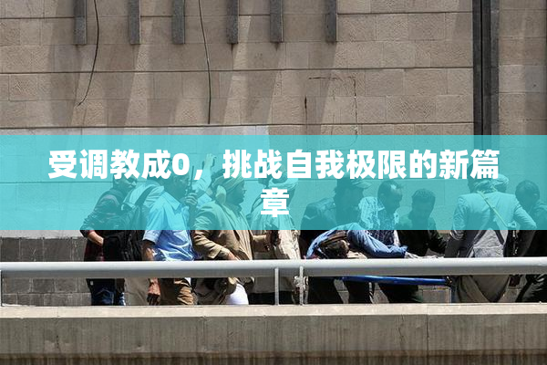 受调教成0，挑战自我极限的新篇章