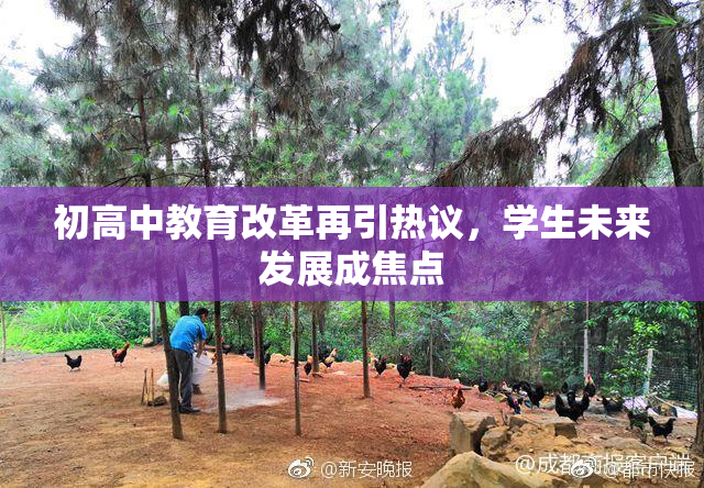 初高中教育改革再引热议，学生未来发展成焦点