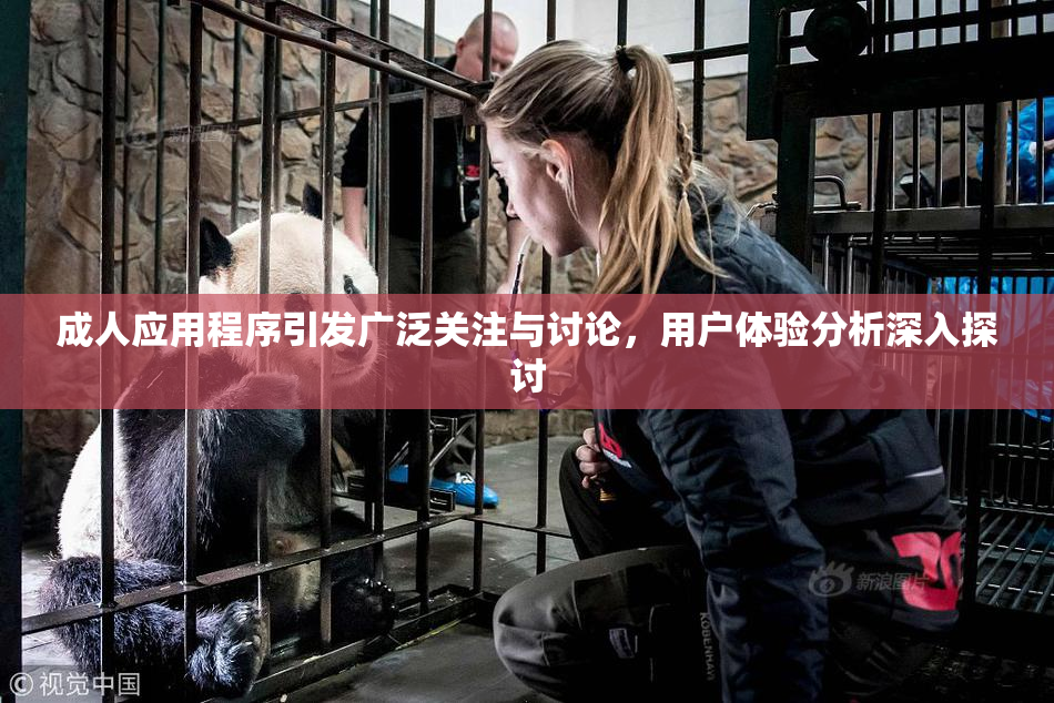 成人应用程序引发广泛关注与讨论，用户体验分析深入探讨