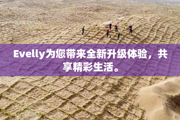 Evelly为您带来全新升级体验，共享精彩生活。