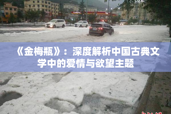 《金梅瓶》：深度解析中国古典文学中的爱情与欲望主题