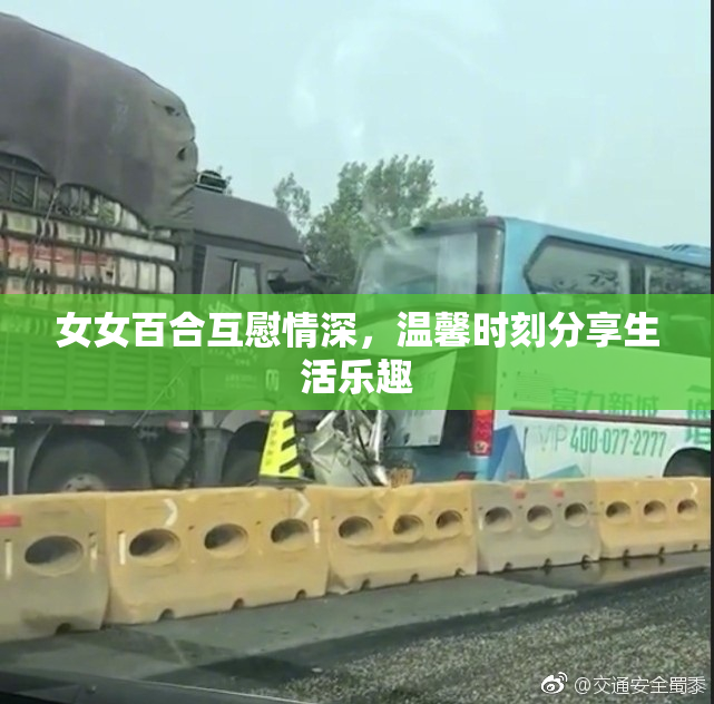 女女百合互慰情深，温馨时刻分享生活乐趣