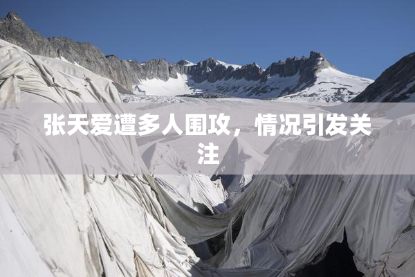 张天爱遭多人围攻，情况引发关注