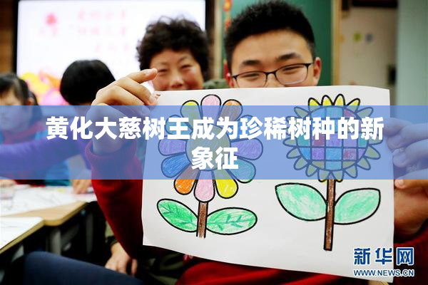 黄化大慈树王成为珍稀树种的新象征