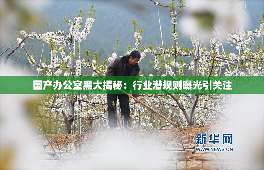 国产办公室黑大揭秘：行业潜规则曝光引关注
