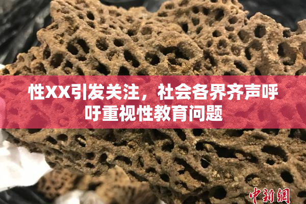 性XX引发关注，社会各界齐声呼吁重视性教育问题