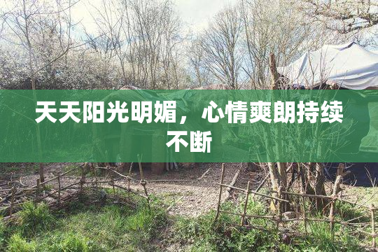 天天阳光明媚，心情爽朗持续不断