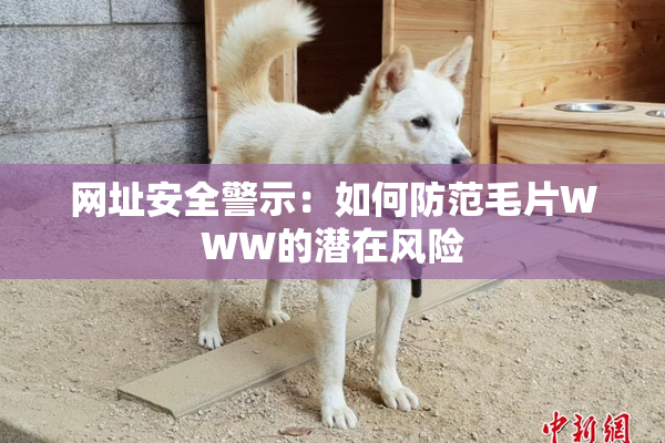 网址安全警示：如何防范毛片WWW的潜在风险