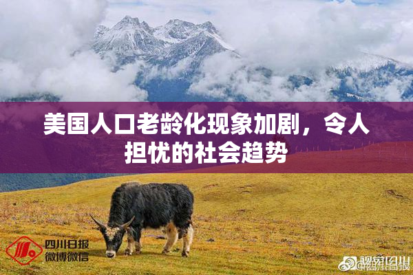 美国人口老龄化现象加剧，令人担忧的社会趋势