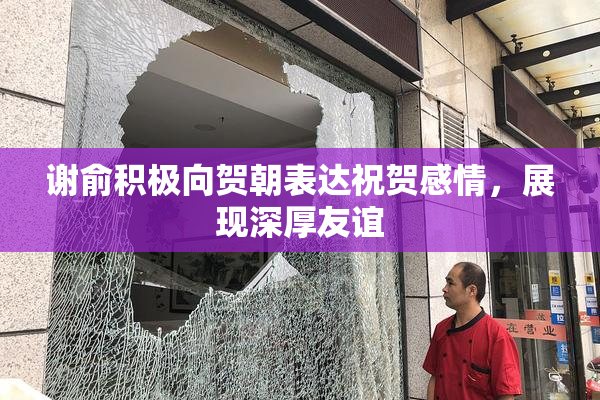 谢俞积极向贺朝表达祝贺感情，展现深厚友谊