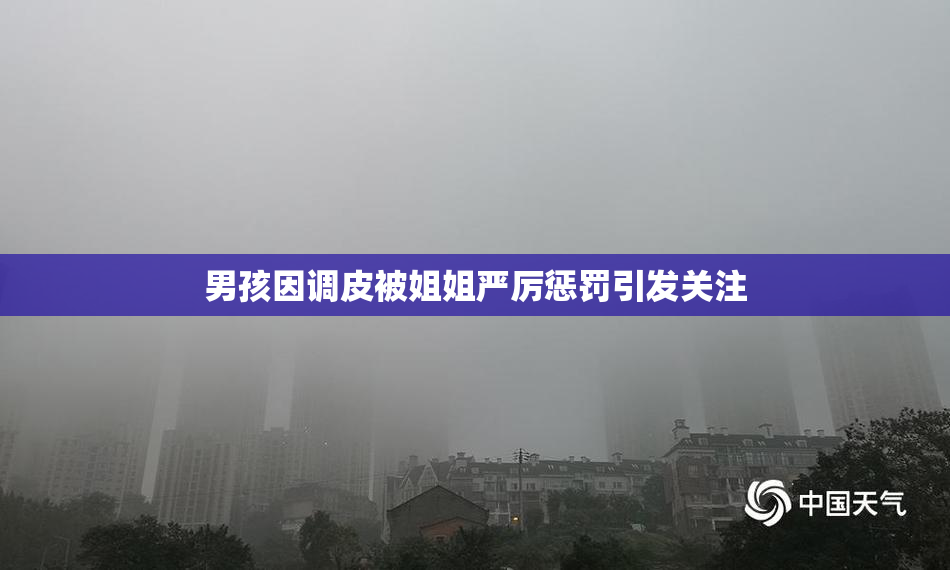 男孩因调皮被姐姐严厉惩罚引发关注