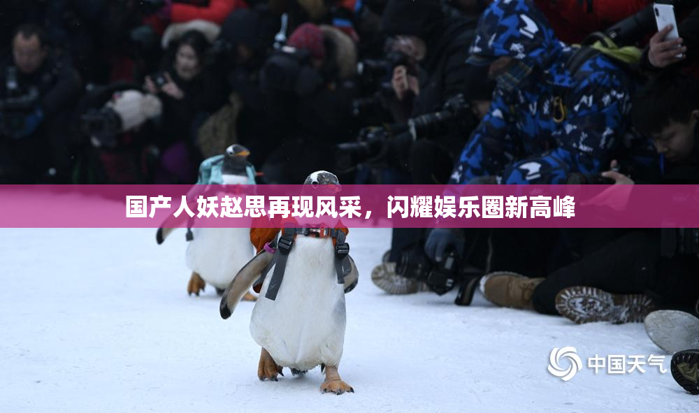 国产人妖赵思再现风采，闪耀娱乐圈新高峰