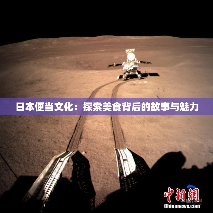 日本便当文化：探索美食背后的故事与魅力