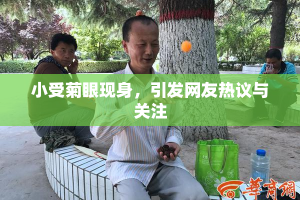 小受菊眼现身，引发网友热议与关注