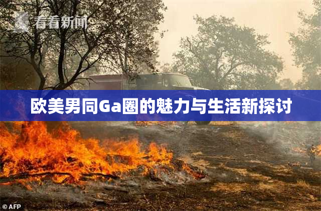 欧美男同Ga圈的魅力与生活新探讨