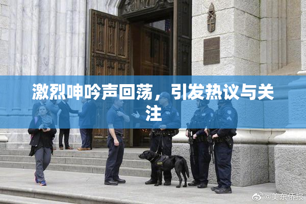 激烈呻吟声回荡，引发热议与关注