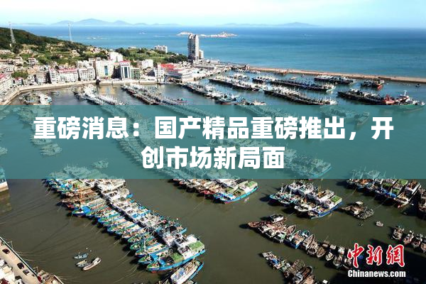 重磅消息：国产精品重磅推出，开创市场新局面