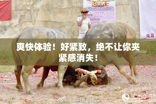 爽快体验！好紧致，绝不让你夹紧感消失！
