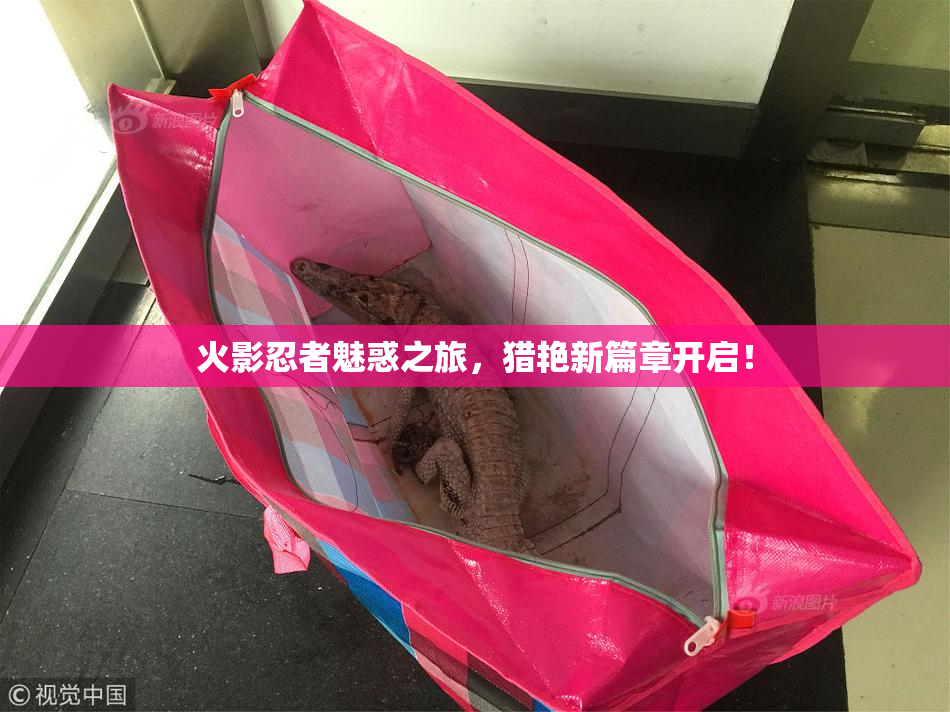 火影忍者魅惑之旅，猎艳新篇章开启！