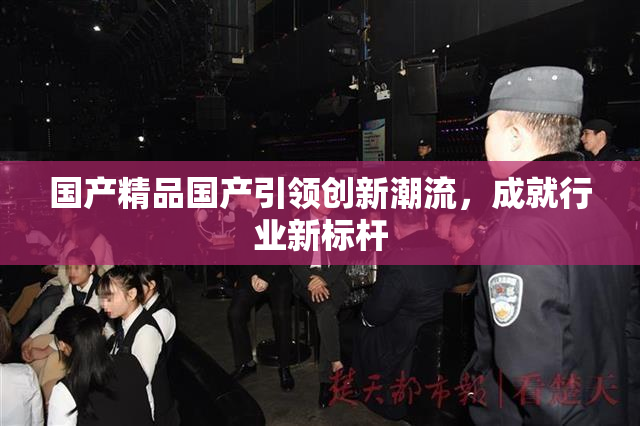 国产精品国产引领创新潮流，成就行业新标杆