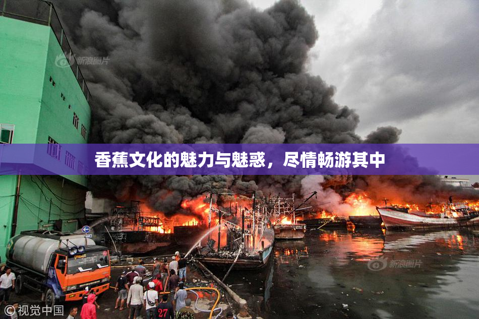 香蕉文化的魅力与魅惑，尽情畅游其中