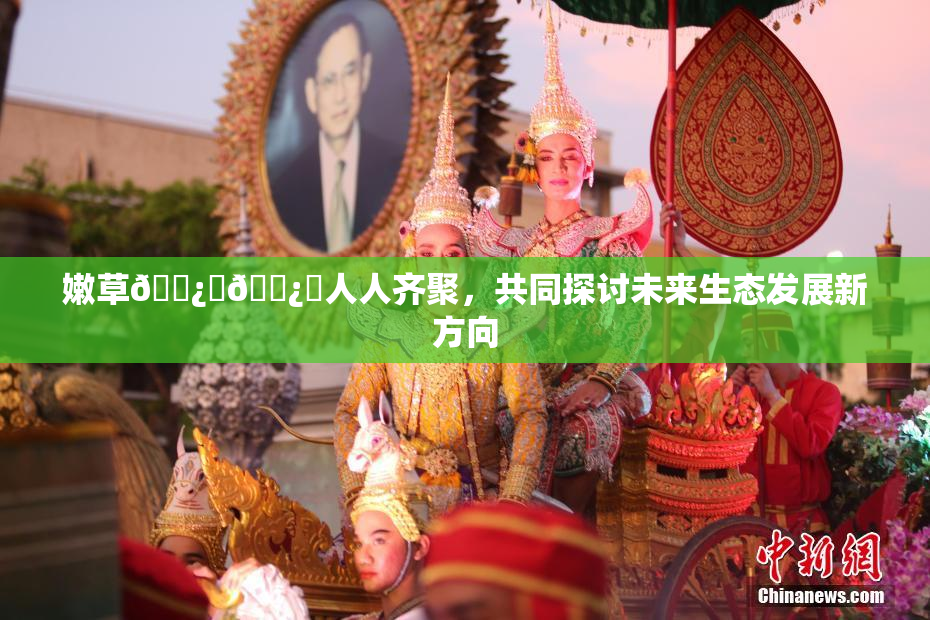 嫩草🌿‌🌿‌人人齐聚，共同探讨未来生态发展新方向