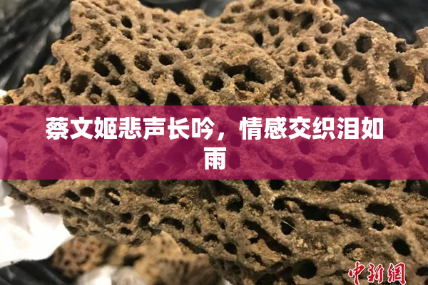 蔡文姬悲声长吟，情感交织泪如雨