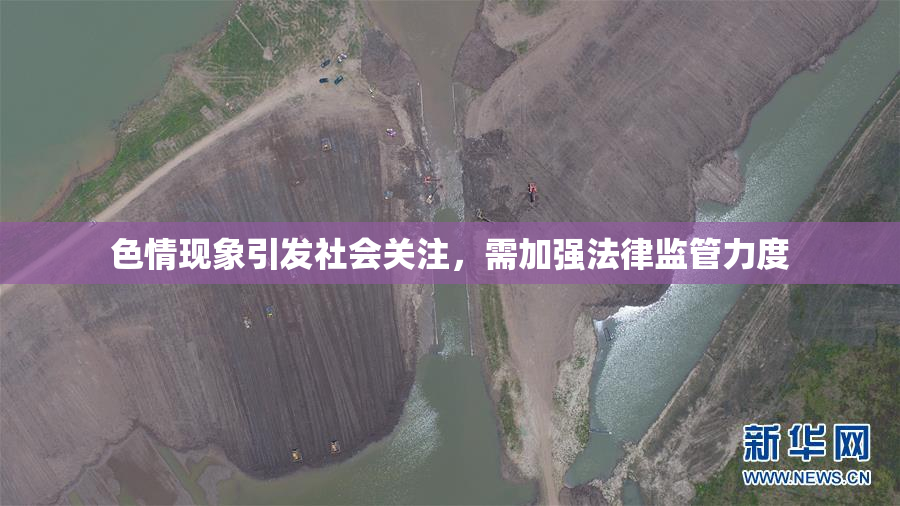 色情现象引发社会关注，需加强法律监管力度